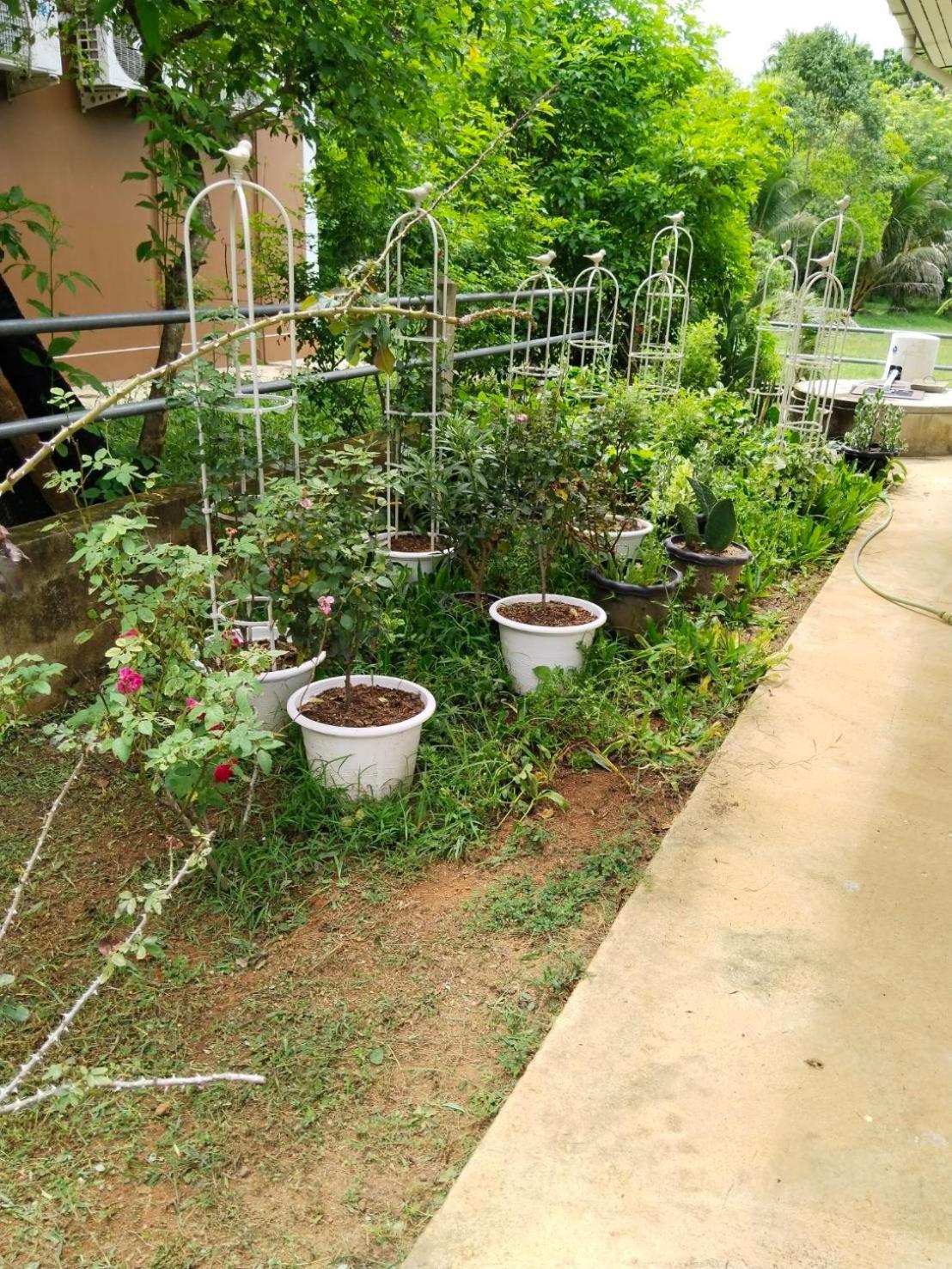 Thanid House Ban Nai Khlong Kültér fotó